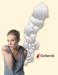 Din region hos Den svenska Dejting-ExpertenSexdating portalerna Gotland