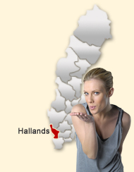 Din region hos Den svenska Dejting-ExpertenSexdating portalerna Halland