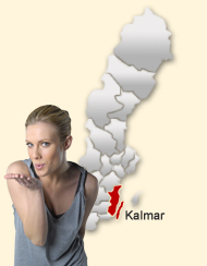 Din region hos Den svenska Dejting-ExpertenSexdating portalerna Kalmar 