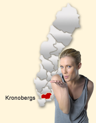 Din region hos Den svenska Dejting-ExpertenSexdating portalerna Kronoberg