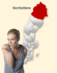 Din region hos Den svenska Dejting-ExpertenSexdating portalerna Norrbotten