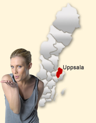 Din region hos Den svenska Dejting-ExpertenSexdating portalerna Uppsala 