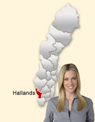 Din region hos Den svenska Dejting-ExpertenSinglar i Halland