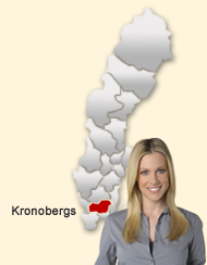Din region hos Den svenska Dejting-ExpertenSinglar i Kronoberg