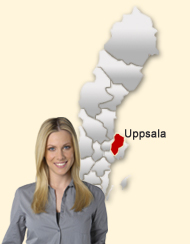 Din region hos Den svenska Dejting-ExpertenSinglar i Uppsala 